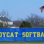 ladycat softball