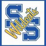 wildcat logo ssisd