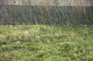 Rainfall-near-my-House_Raindrops__36963-1024x682