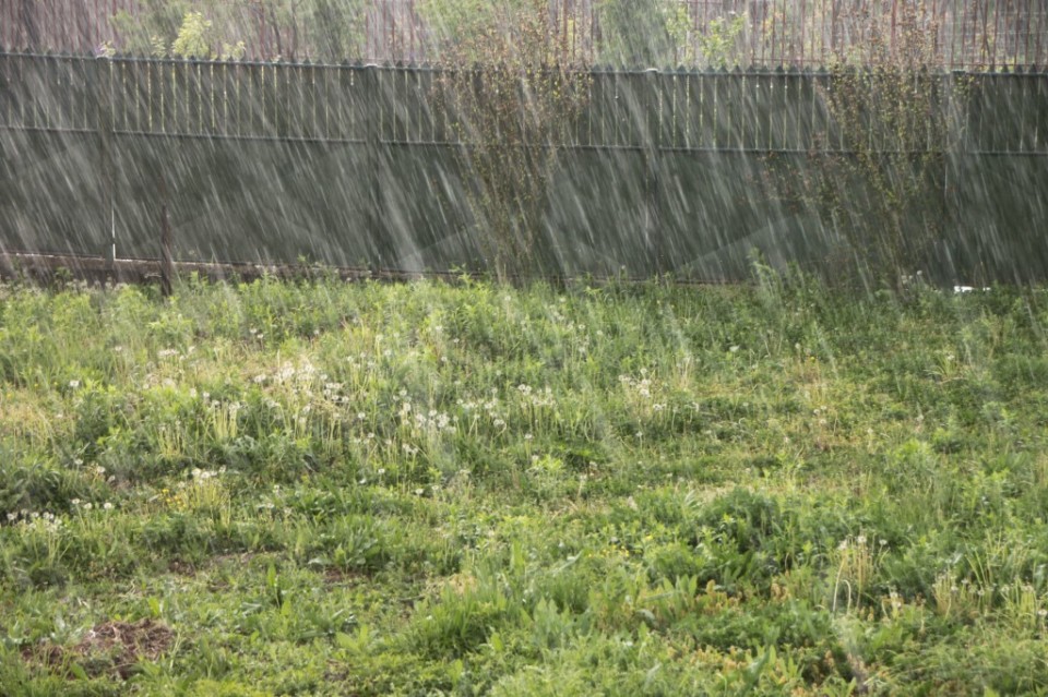 Rainfall-near-my-House_Raindrops__36963-1024x682