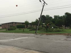 Tree and power pole damaged by strong thunderstorm. Photo by Chad Young.