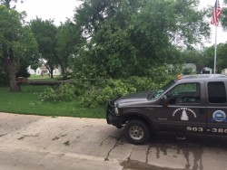 Crews get ready to remove trees at Wesley House.  Building still on back up power. No damage to building.