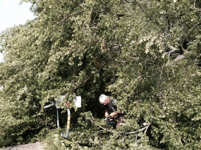 Chip Vaughn clearing a tree that fell over the mailboxes during a storm in Tira last Thursday night (May 7th)