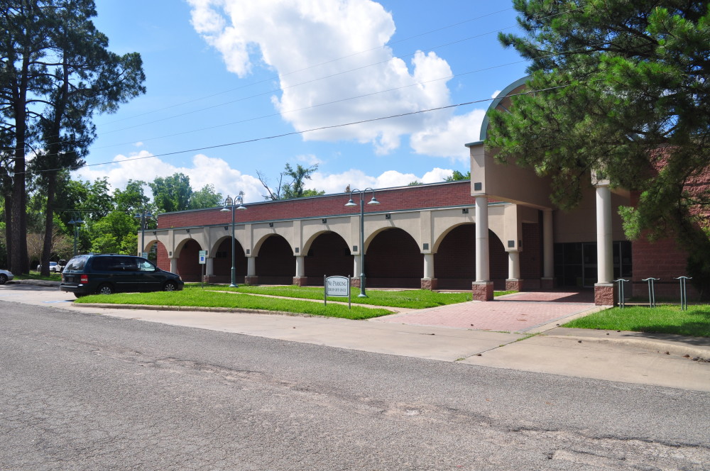 sulphur springs public library