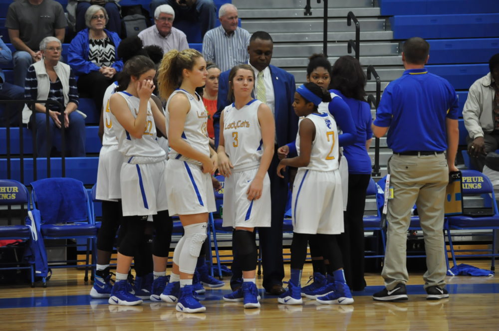 Lady cats basketball 2016