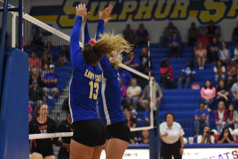 Lady cats Volleyball10