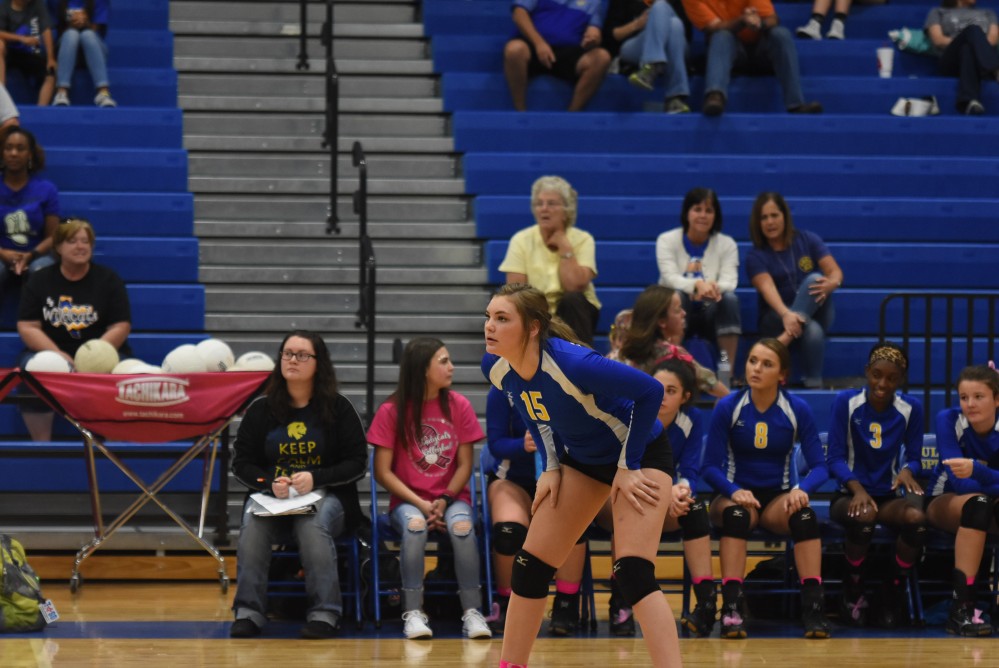 Lady cats Volleyball11