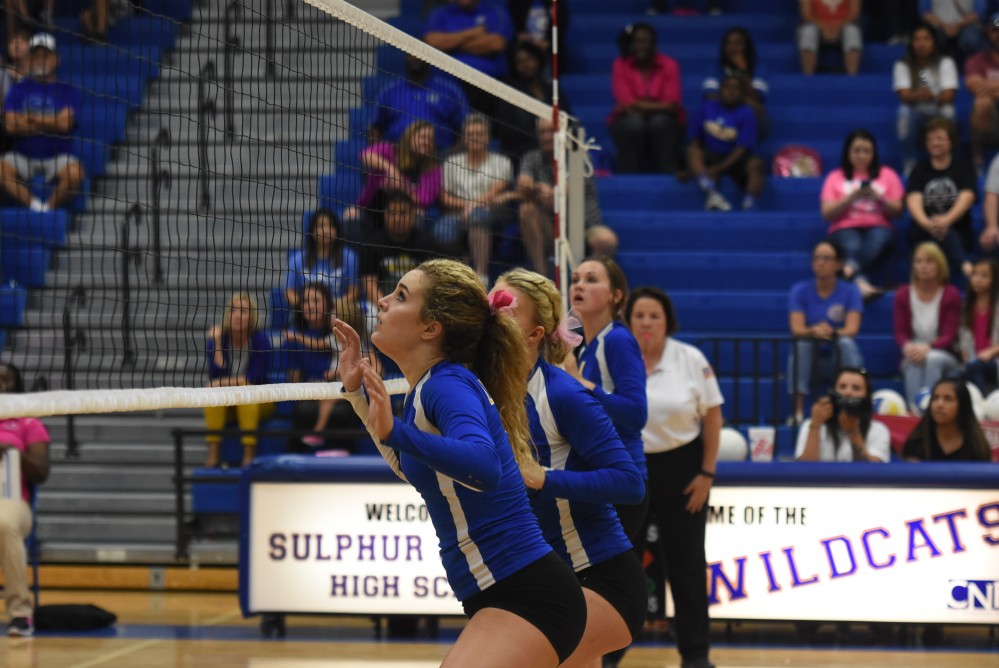 Lady cats Volleyball14