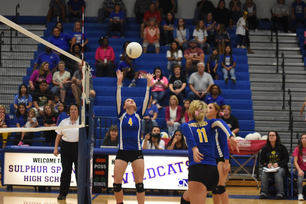 Lady cats Volleyball15