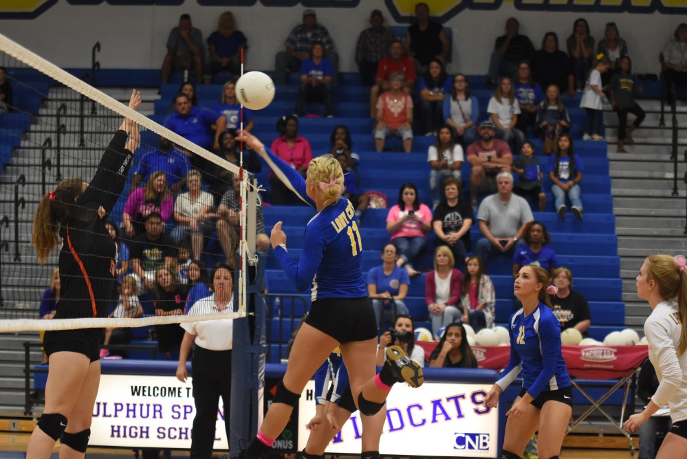 Lady cats Volleyball16