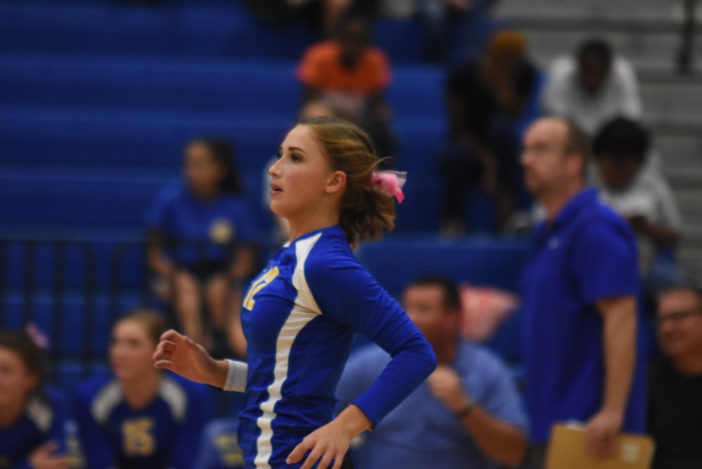 Lady cats Volleyball17
