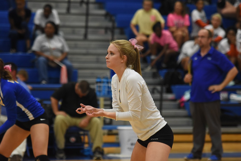 Lady cats Volleyball18