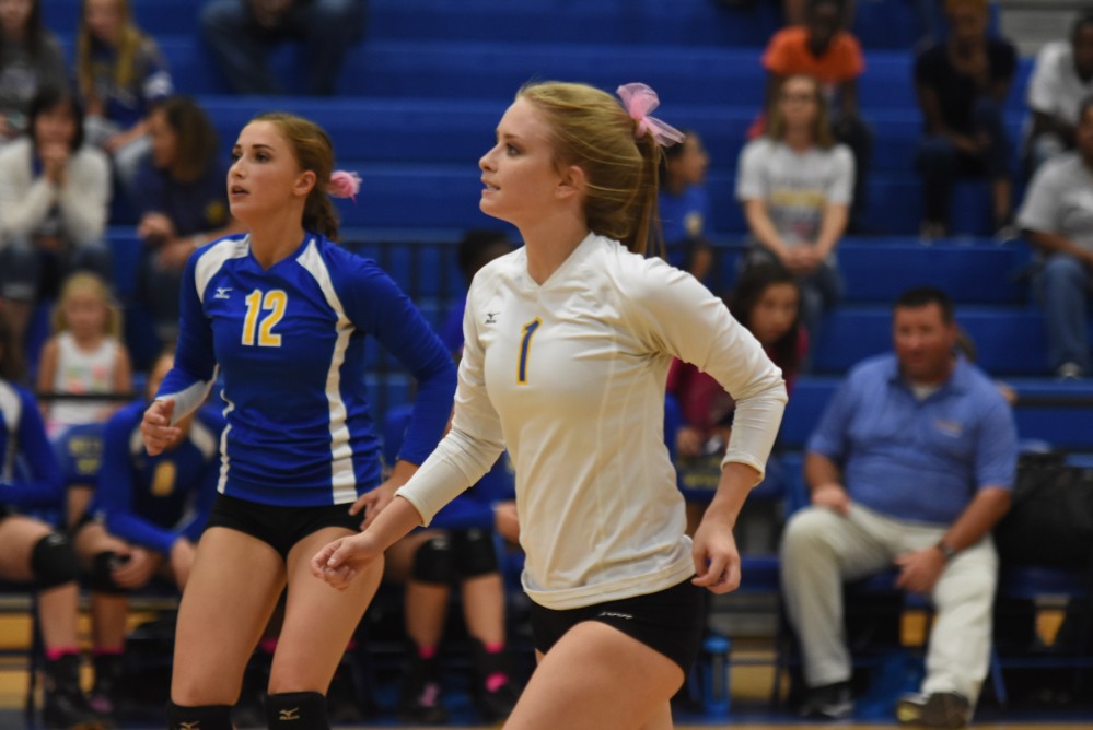 Lady cats Volleyball19
