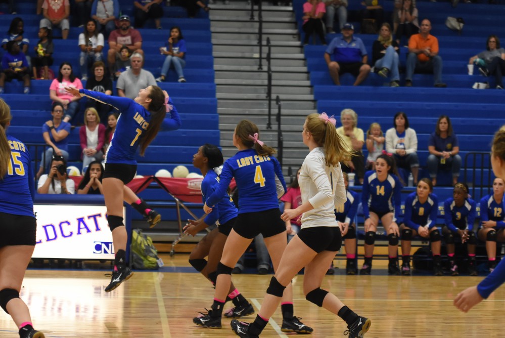 Lady cats Volleyball2