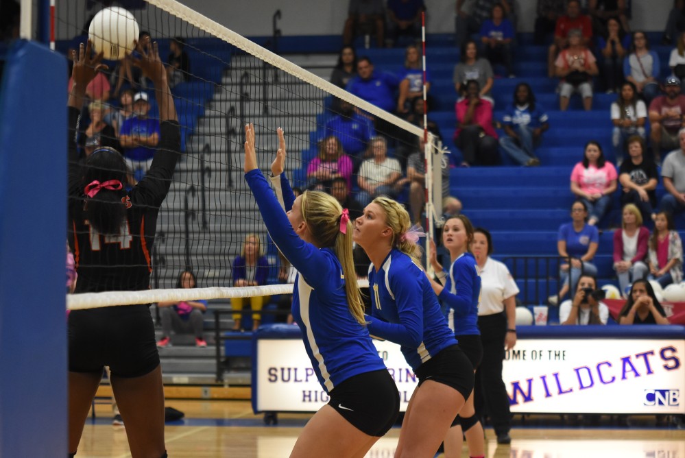Lady cats Volleyball20