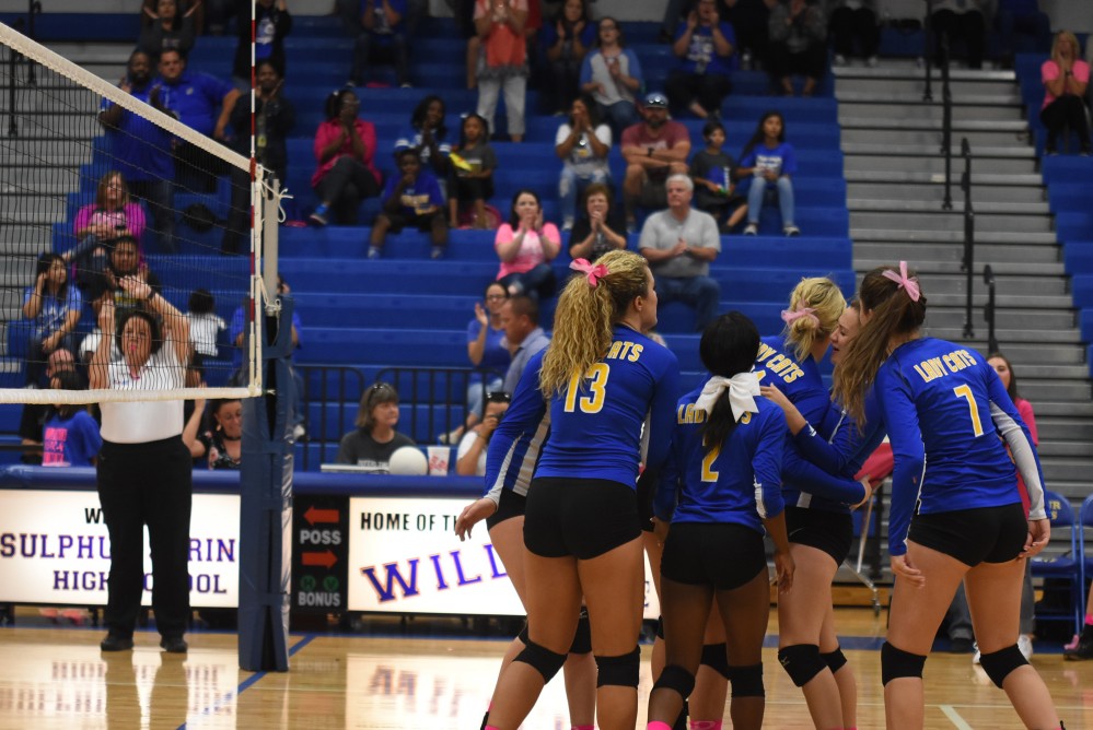 Lady cats Volleyball3