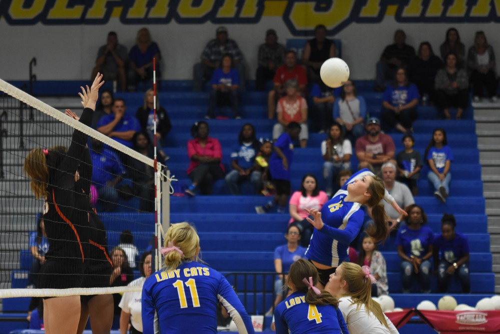 Lady cats Volleyball5