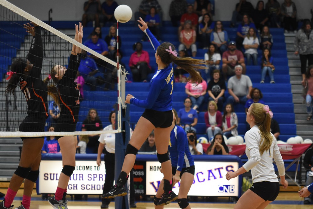 Lady cats Volleyball7