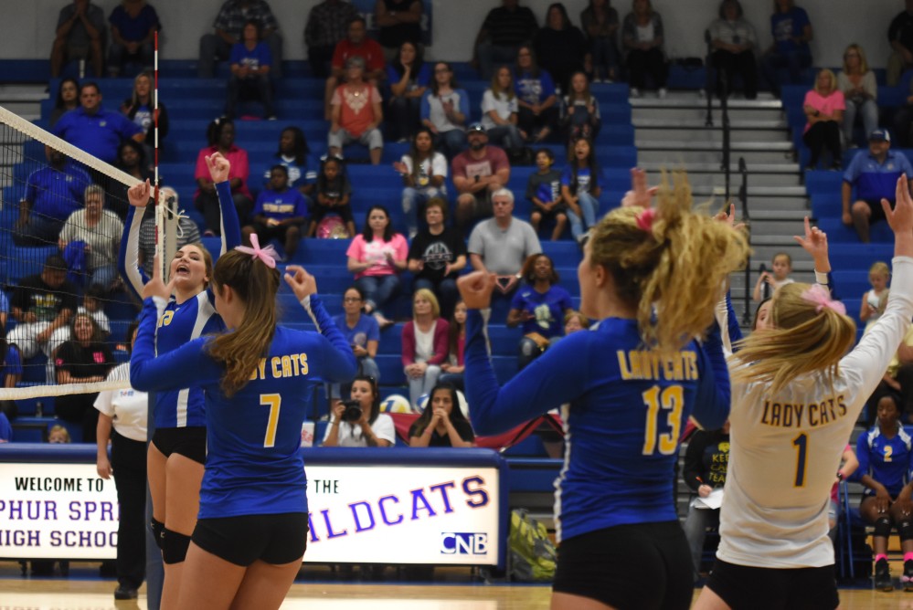 Lady cats Volleyball9