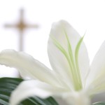 funeral_lily-with-cross