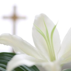 Celebration Of A Life