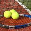 New Wildcats Tennis Coach