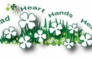 Don’t Give Up Until They Buckle Up! – Johanna Hicks