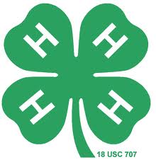 Hopkins County 4-H Members Earn District Honors