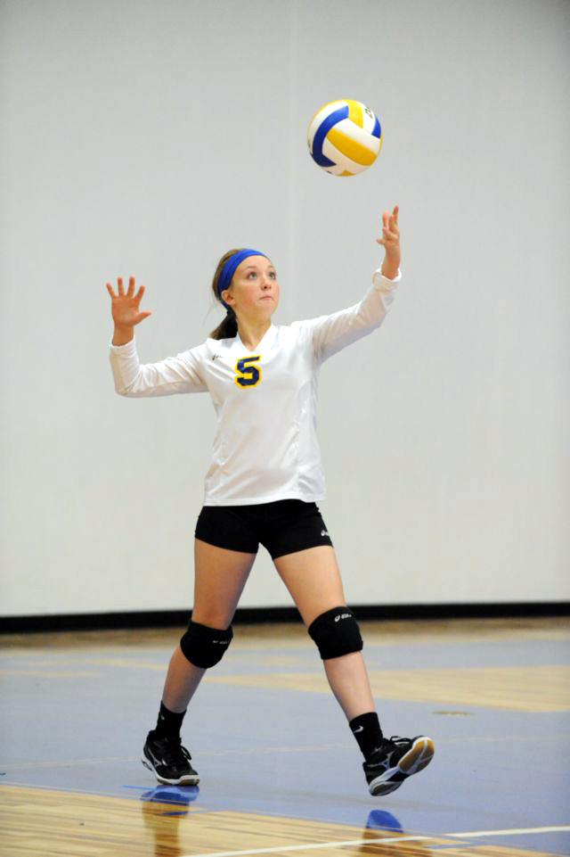 ssisd volleyball lady cats