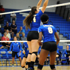 Lady Cats at Paris Doesn’t Go Well