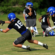 Wildcats 7 on 7 in State Qualifier Friday