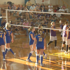Lady Cats’ Volleyball Team Opens the Regular Season this Week