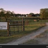 Steps of Faith Movie Trailer