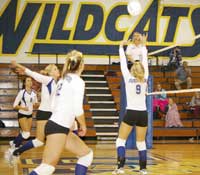 Lady Cats Volleyball Begins Summer Practice