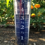 City and County Rainfall Reports