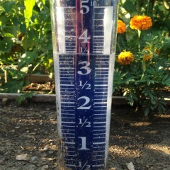 Weekend Rainfall Totals Vary in County