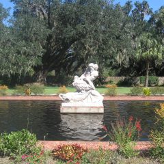 Tira News 10/15/14 by Jan Vaughn
