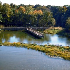 October Schedule of Events at Cooper Lake State Park/South Sulphur Unit