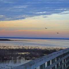 At Cooper Lake State Park, 'Life's Better Outside' Even During the Holidays!