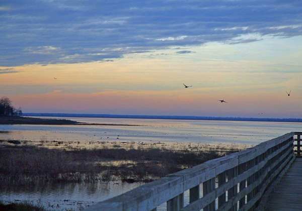 Cooper Lake State Park