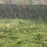 Rain, Rain, and More Rain Probable Thanks to El Nino