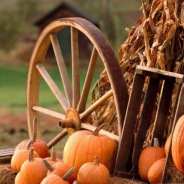 35th Annual Harvest Festival at the FUMC Saturday