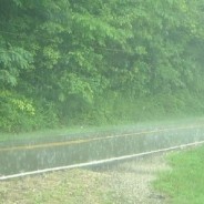 FM 71 West, 2 County Roads Waterlogged By Rains