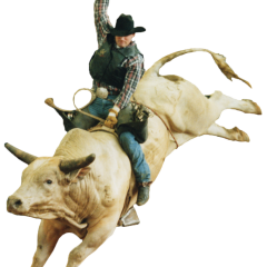 2025 PBR World Finals