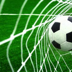 Soccer: Wildcats Defeat Princeton 2-1