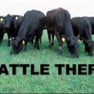 “Updated” Grandson Rustles Grandfather’s Cattle