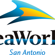 Seaworld & Aquatica San Antonio Giving Free Admission To Preschoolers, Qualifying K-12 Teachers
