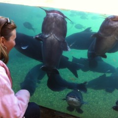 Spring Breaking at Texas Freshwater Fisheries Center