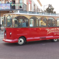 City Purchases Trolley