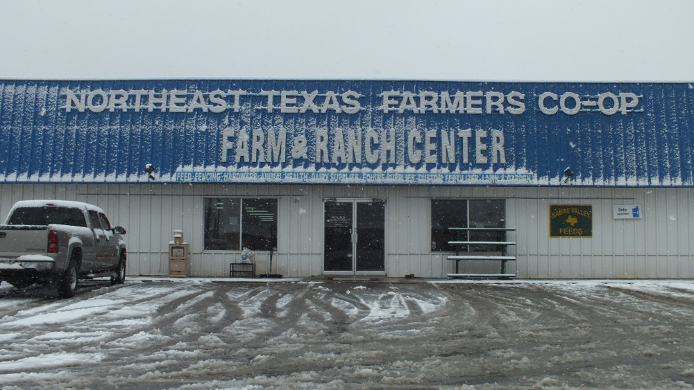 snow ice coop